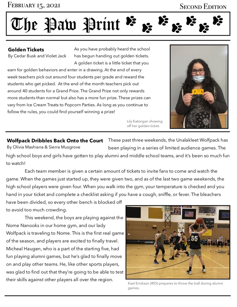 Newsletter #2