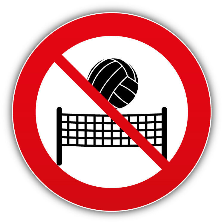 A volleyball net and ball with a red circle and line
