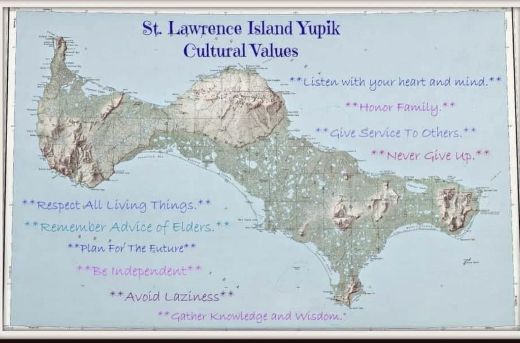 SLI Cultural Values