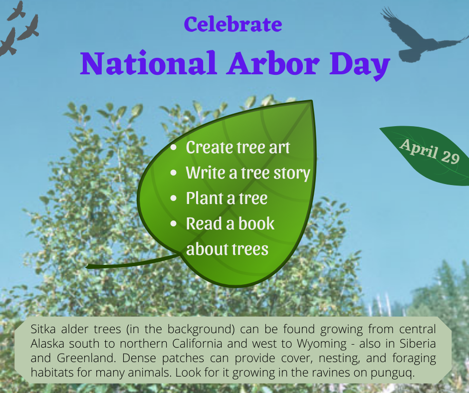 "Celebrate National Arbor Day April 29" on a background of Sitka  alder trees.