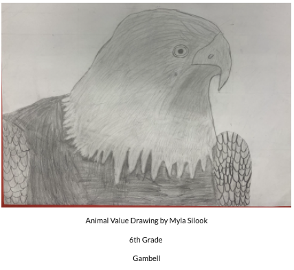 pencil drawing of eagle