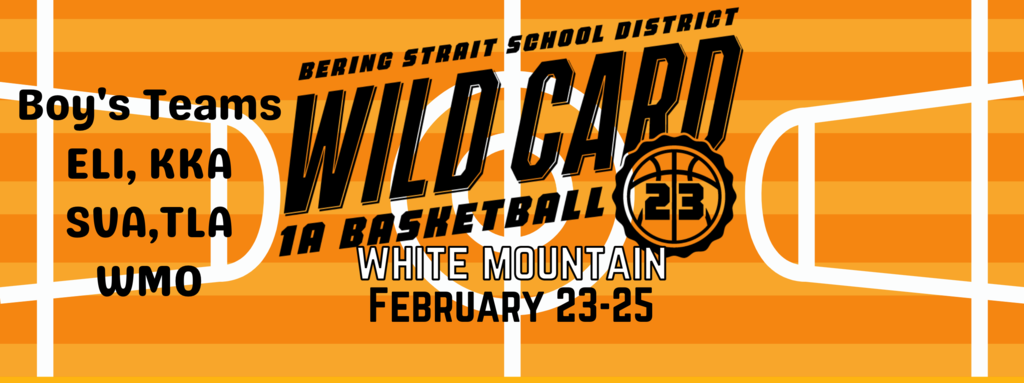 wild card 1a basketball