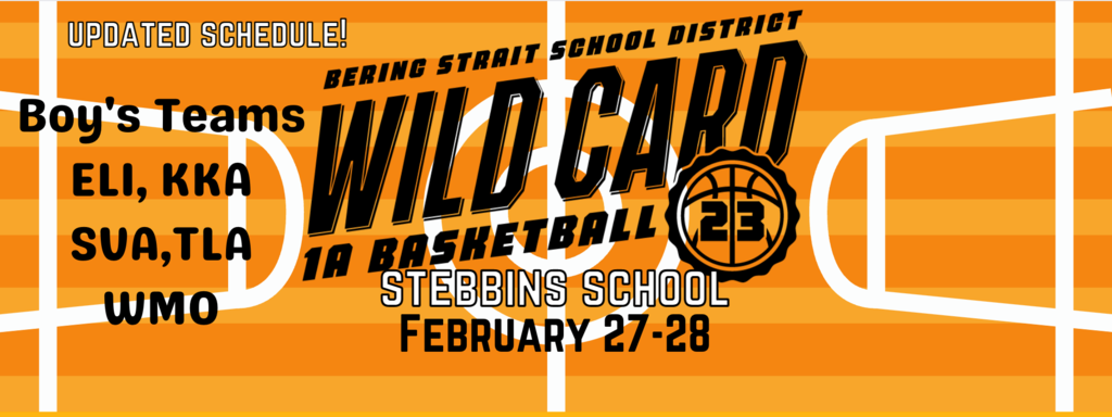wild card stebbins school february 27-28, 2023